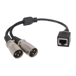 RJ45 to 2 XLR Male Cable RJ45母口转双卡侬三芯公头延长线 25CM