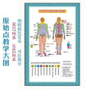 原始点教学挂图原始点涵盖范围示意图穴位图大图宽57厘米长85厘米