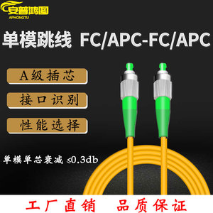 安普鸿图 光纤跳线FC/APC-FC/APC单模3 5 10 20 15 30 40 50米斜8度角绿色 尾纤 网络跳线电信级尾纤