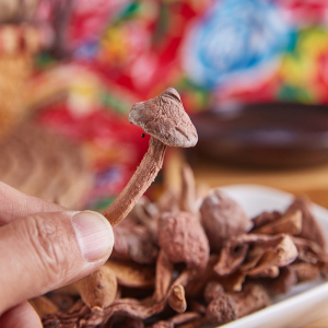 东北特产红蘑菇