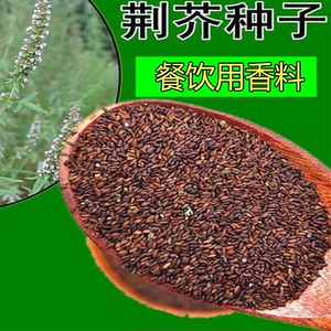 荆芥籽500克 黑色荆介子 香料调味大全 卤料火锅面条烧烤配方佐料