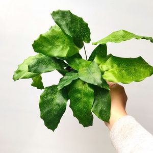 马赛克竹芋喜荫室内观叶四季常青桌面小盆栽好看特色观叶章鱼种花