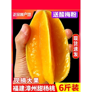 福建漳州甜杨桃6斤水果当季整箱洋桃鲜果新鲜红龙扬桃五角星阳桃