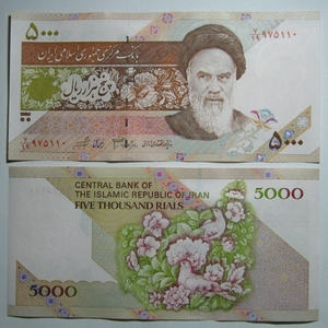 p- 145f 伊朗5000里亚尔全新保真收藏纸钞外国钱币鸽子版iran