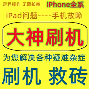 适用于白苹果重启手机刷机iphoneX/7/8P/13平板IPAD保资料12MAX14