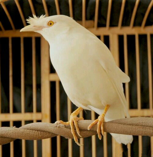 孕妇书籍十月怀胎 怀孕 孕期书籍大全 孕妈妈书食谱营