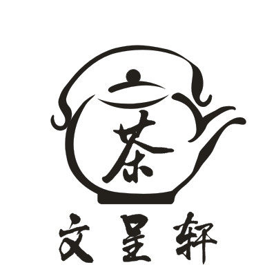 文呈轩 简装250g 小青柑 茶叶 柑普茶 宫廷普洱茶 陈皮普洱 茶