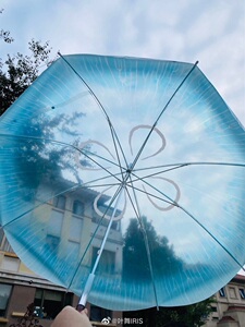 20天到货日本芬理希梦felissimo海洋馆you more!水母透明伞999