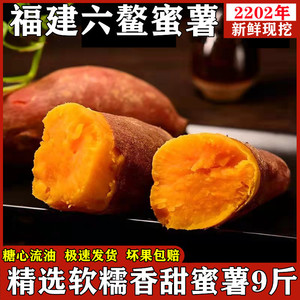 正宗福建漳州六鳌蜜薯产地直发新鲜现挖红心地瓜10斤包邮红薯番薯