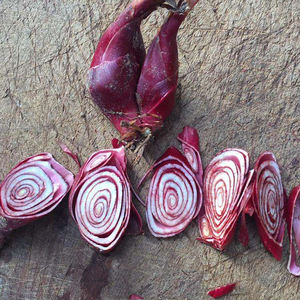 野生小红蒜根1斤中药材滋补红葱通鼻小红蒜红葱头百步还阳血葱