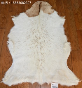 绒山羊羊皮整张