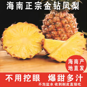 海南三亚树上熟金钻凤梨当季热带水果新鲜采摘5斤大果