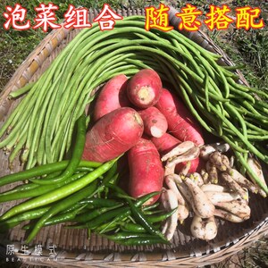 新鲜嫩豇豆红萝卜藠头朝天椒仔姜辣椒腌制泡菜原材料泡菜组合四川