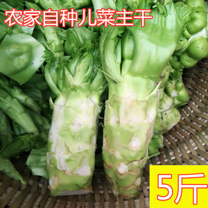 青菜头新鲜重庆