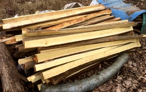 岩桑柘桑黄桑木长弓弩料原木带皮无结直纹英格兰长弓训弓木条木片