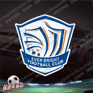 汽车贴纸 反光车贴 雕刻版 石家庄永昌 队徽 球队车贴