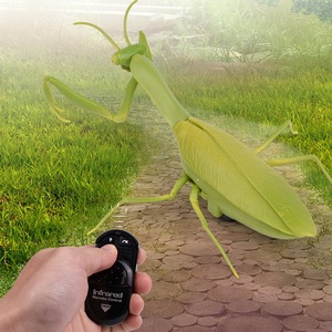 螳螂捕捉小神器图片