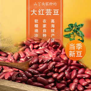 2023年新正宗红腰豆做种子发芽山西农家自种大红芸豆1斤