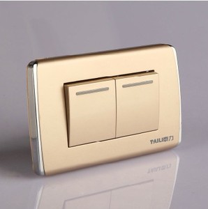 泰力家用开关面板电源插座2021暗装双开118型900系列香槟两开双控