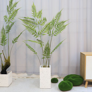 仿真绿植金丝猴蕨盆栽  简约禅意中式假植物盆景  金毛狗蕨仿生树