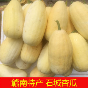 江西赣南特产 新鲜绿色蔬菜 石城杏瓜 杏瓜炒肉5斤装包邮