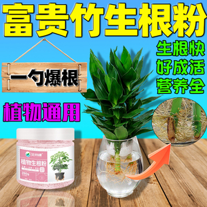 富贵竹专用生根粉水培植物花通用快速发芽粉强力壮苗剂均衡水溶肥