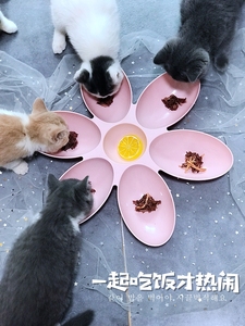 宠物吃饭碗花瓣型六边宠物聚餐食盆多猫家庭猫碗狗碗英短流浪猫碗