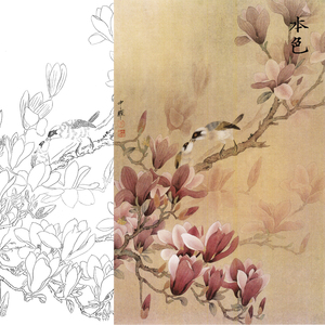zy53国画工笔画玉兰花鸟临摹练习白描底稿可直接上色宣纸实物画稿