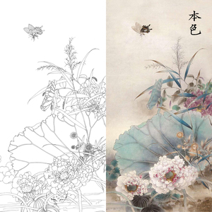 荷花白描底稿工笔花鸟蝴蝶荷花实物打印白描底稿临摹过透稿勾线稿