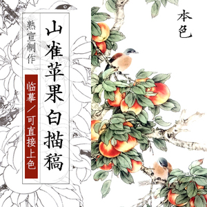 高清工笔画白描底稿国画花鸟条屏苹果临摹素材勾线宣纸打印稿实物