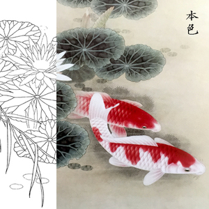红鲤鱼工笔画宣纸白描底稿初学入门练习临摹过稿透稿直接上色画稿