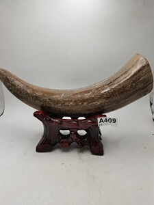 【牛角化石】牛角化石品牌,价格 - 阿里巴巴