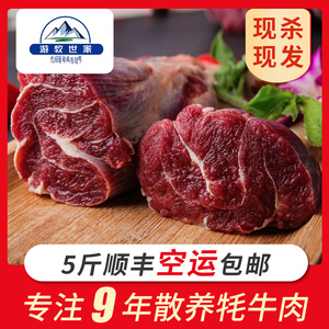 新鲜现杀吊龙牛肉5斤潮汕火锅食材高原生鲜牦牛嫩里脊雪花牛肉