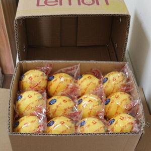 当季安岳新鲜黄柠檬一级中果 21个精品独立包装 无蜡酸爽多汁不苦