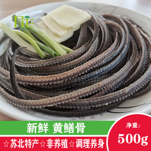 新鲜黄鳝骨非养殖自然生长现划杀长鱼骨熬汤营养滋补养身健体500g