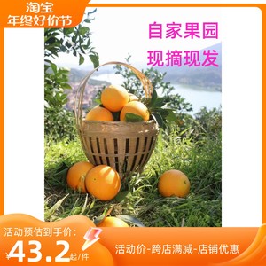 湖南溆浦特产 湘西高山纽荷尔脐橙 甜桔子 新鲜当季水果 10斤包邮