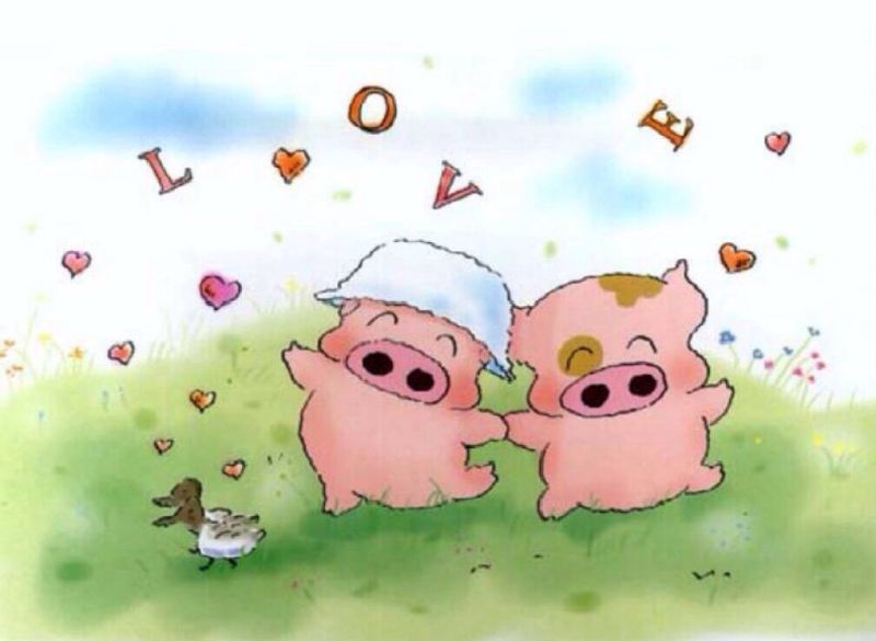 香港卖兜兜代购店铺近30天销售额数据_香港卖兜兜代购销量查询预估-啊