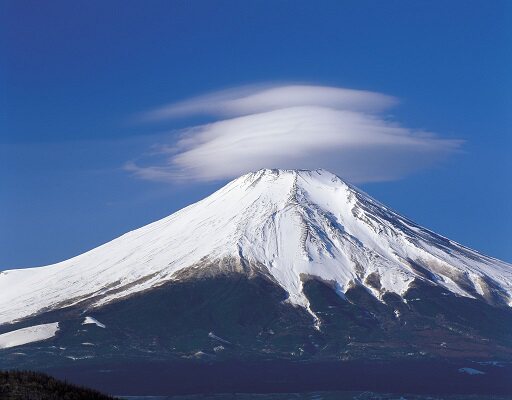 富士山下の代购店