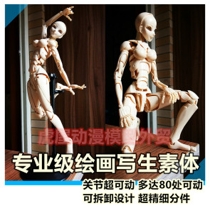 绘画人体模型日本