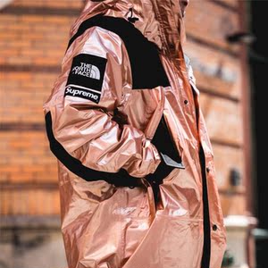 supreme metallic mountain tnf 北面联名金属金角银角大王冲锋衣