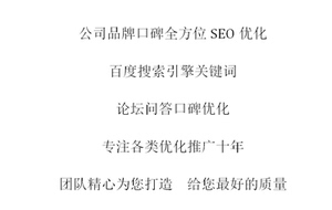 企业品牌公司口碑关键词搜索引擎排名SEO关键词推广优化