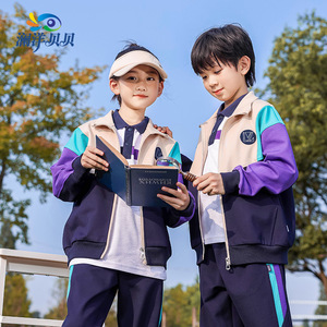品牌校服儿童春秋季运动会服装藏青紫色小学生班服套装长袖三件套