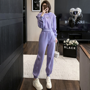 炸街高级感时装洋气紫色卫衣休闲运动套装女秋2024时尚修身两件套