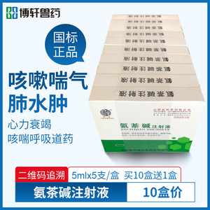 氨茶碱注射针剂