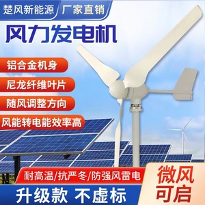 厂家直销小型风力发电机220V300W400W500W风光互补路灯家用12V24V