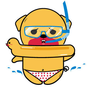 小黄狗宠物商店