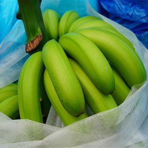 辰颐物语云南威尼斯青香蕉5斤包邮天然绿色水果自然熟新鲜香蕉