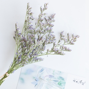 情人草自然风干鲜花花束家居摆设天然真花干花干草拍摄道具满天星