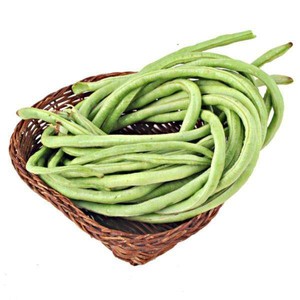 自种新款中国大陆广东省惠州市其他1斤长豆角豇豆新鲜蔬菜无公害