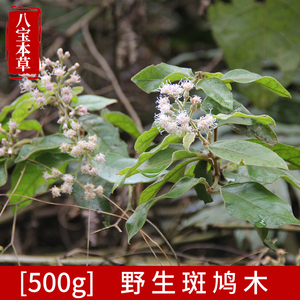 农家自采茄叶斑鸠木500g中草药材百花毛桃月中风白沉沙硬骨过山龙